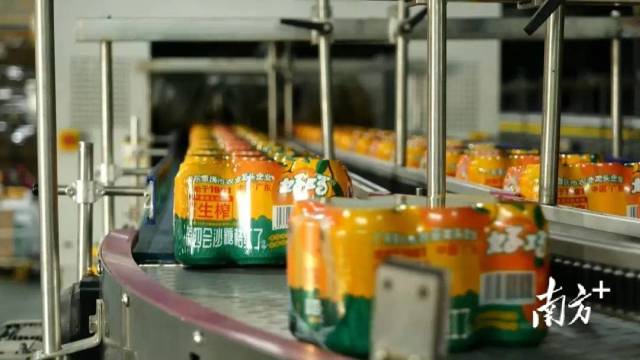 縣委書記打擂臺｜“一三五”，這組數據蘊含了肇慶四會實現縣域振興的秘訣